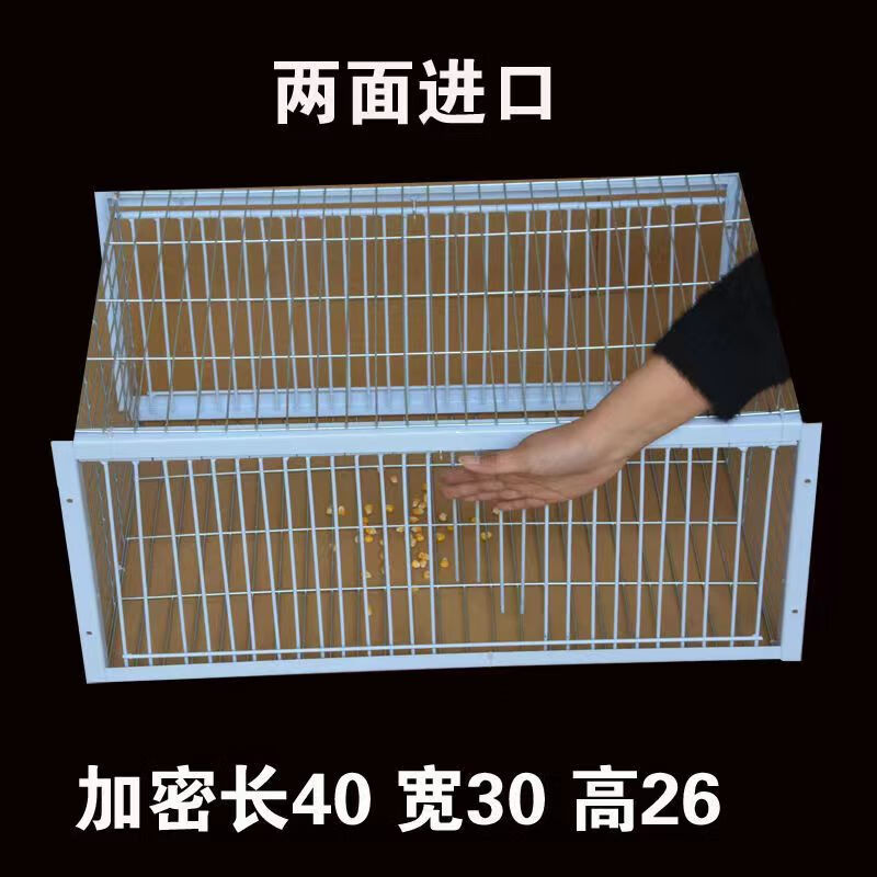 hkml 天落笼只进不出 鸽子神器天落笼加密只进不出鸽子笼撞门笼户