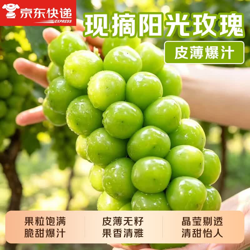 勿语四川大凉山阳光玫瑰葡萄新鲜无籽青提当季现摘  香印提子孕妇水果 【甄选爆甜精品款】铂金果带箱5斤（单果8g+）净重4斤