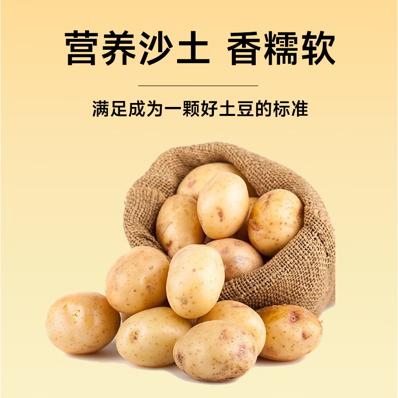 当季土豆甘肃定西黄皮沙面开花土豆马铃薯蔬菜洋芋新鲜农家现挖 1斤 严选中果