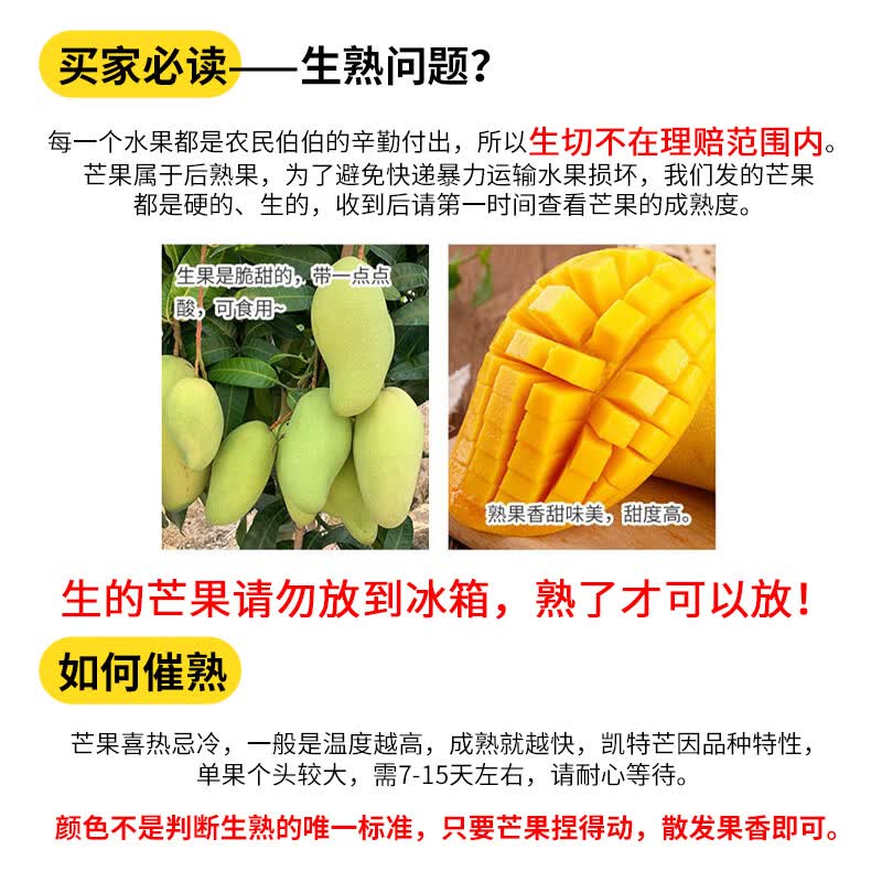 第九序攀枝花凯特芒新鲜水果香甜可口肉厚多汁大果现摘现发 9斤分享装[多人分享装-较划算]净8.5斤 A+级精选大果[单果300g+]甜