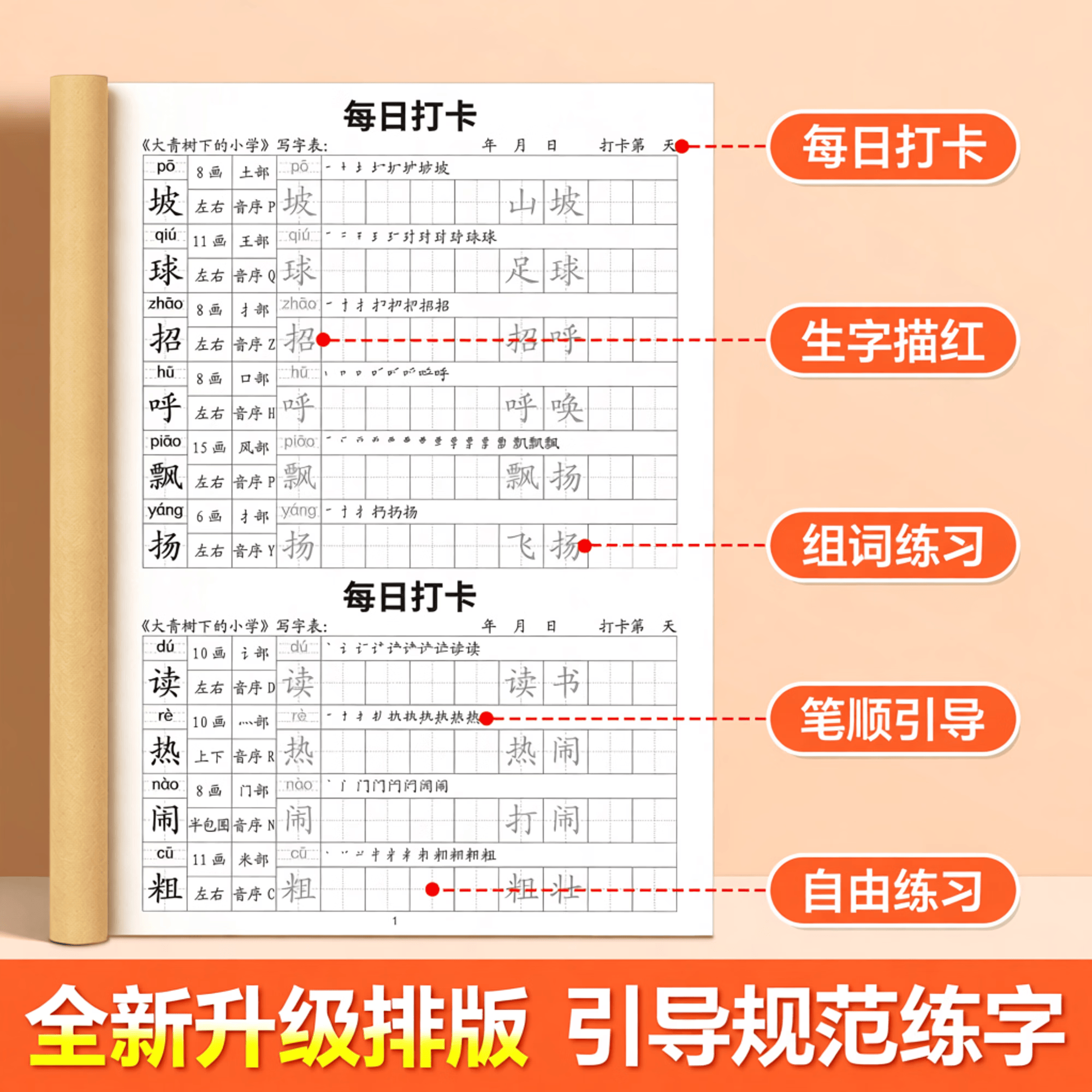 金枝叶三年级上下册练字帖人教版语文同步生字字帖每日一练小学生专用打卡练字本识写字表笔画笔顺描红本 三年级上册【送组词】含一二类字