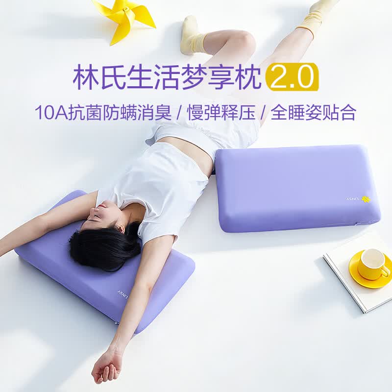 林氏生活记忆绵枕头男女慢回弹枕芯护颈椎枕单人大学生宿舍助眠 B类 单只 低枕 6cm