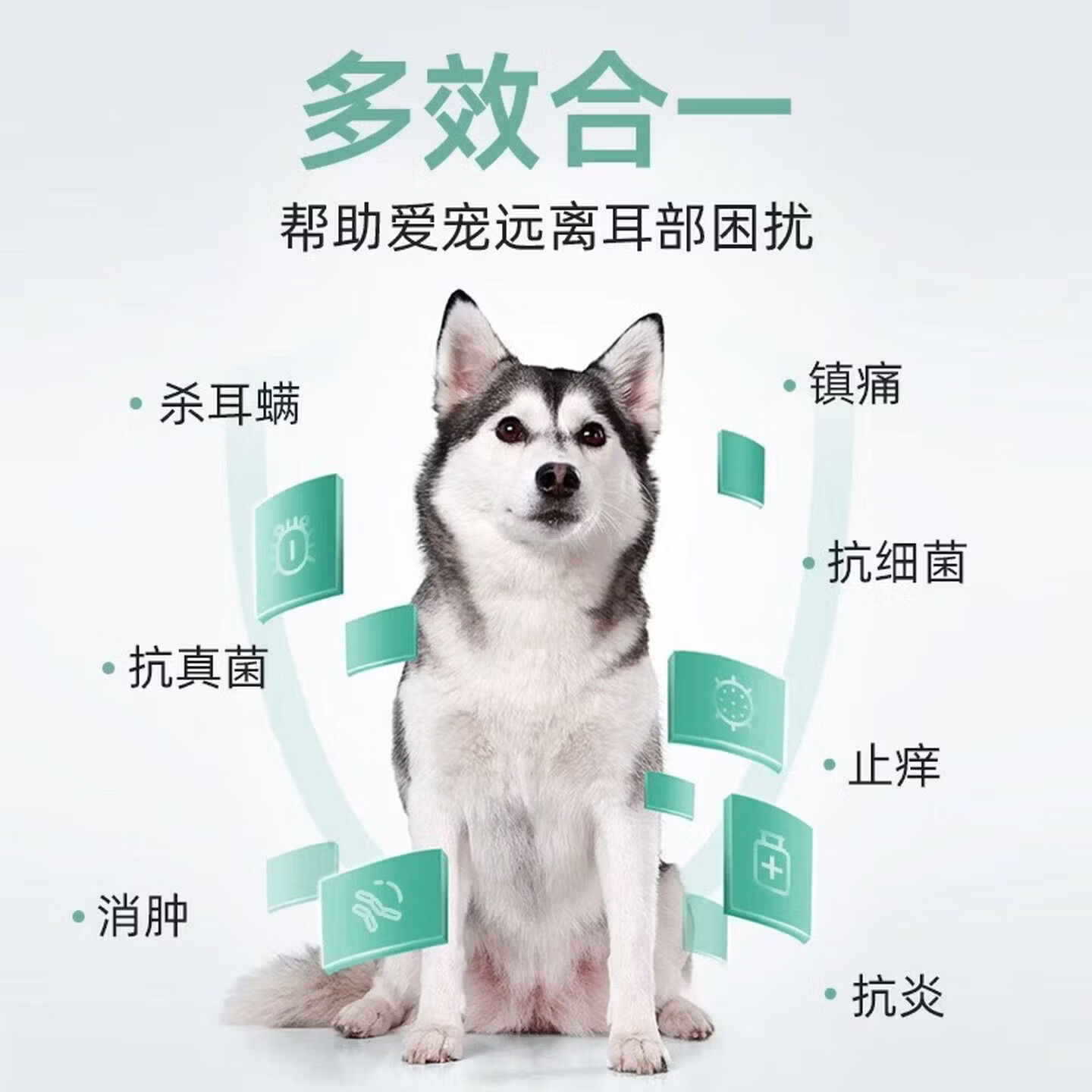 耳肤灵法国复方制霉素耳螨真菌感染外耳炎马拉色菌红肿宠物犬猫耳部用药 【平替国产款】复方制霉菌素软膏 10g*1盒 +耳道净