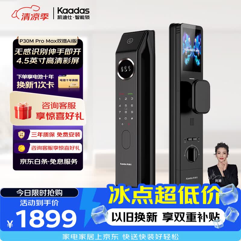 凯迪仕（KAADAS）P30M Pro Max双摄 AI版智能锁 高清大屏猫眼智能门锁指纹密码锁