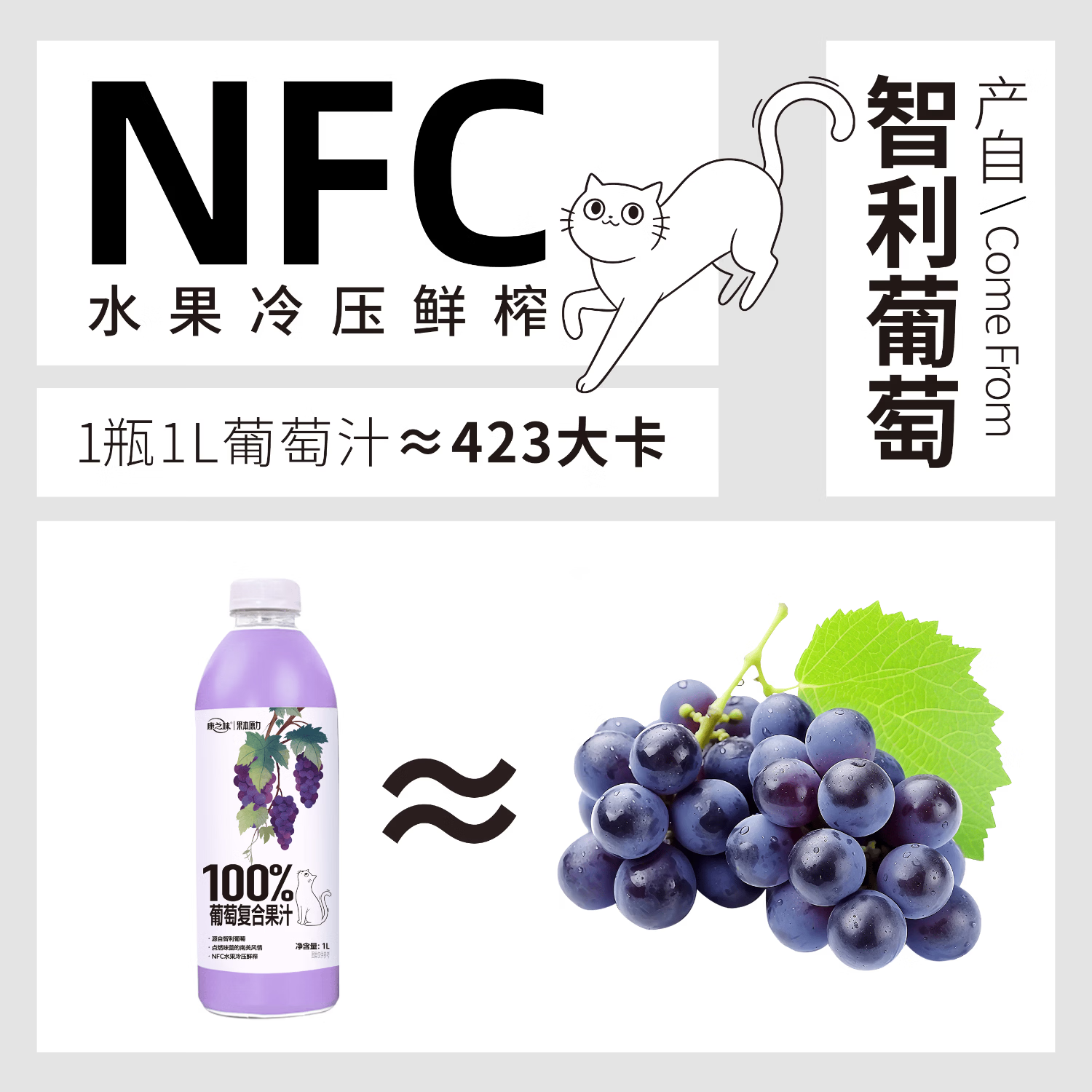 康之味马蹄爽送礼0添加真实荸荠果肉果味聚会饮料果汁 1L葡萄汁*2瓶【9月25日到期】