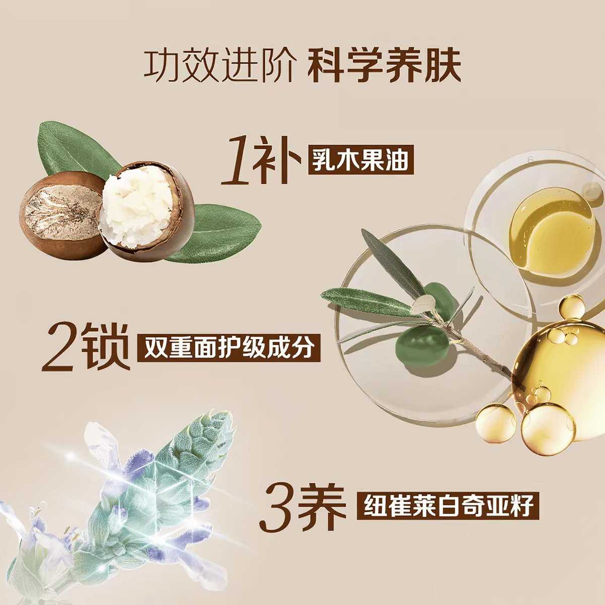 安利（Amway）安利雅蜜润肤露正品雅蜜身体乳补水保湿滋润全身身体乳400ml 新款*400ml