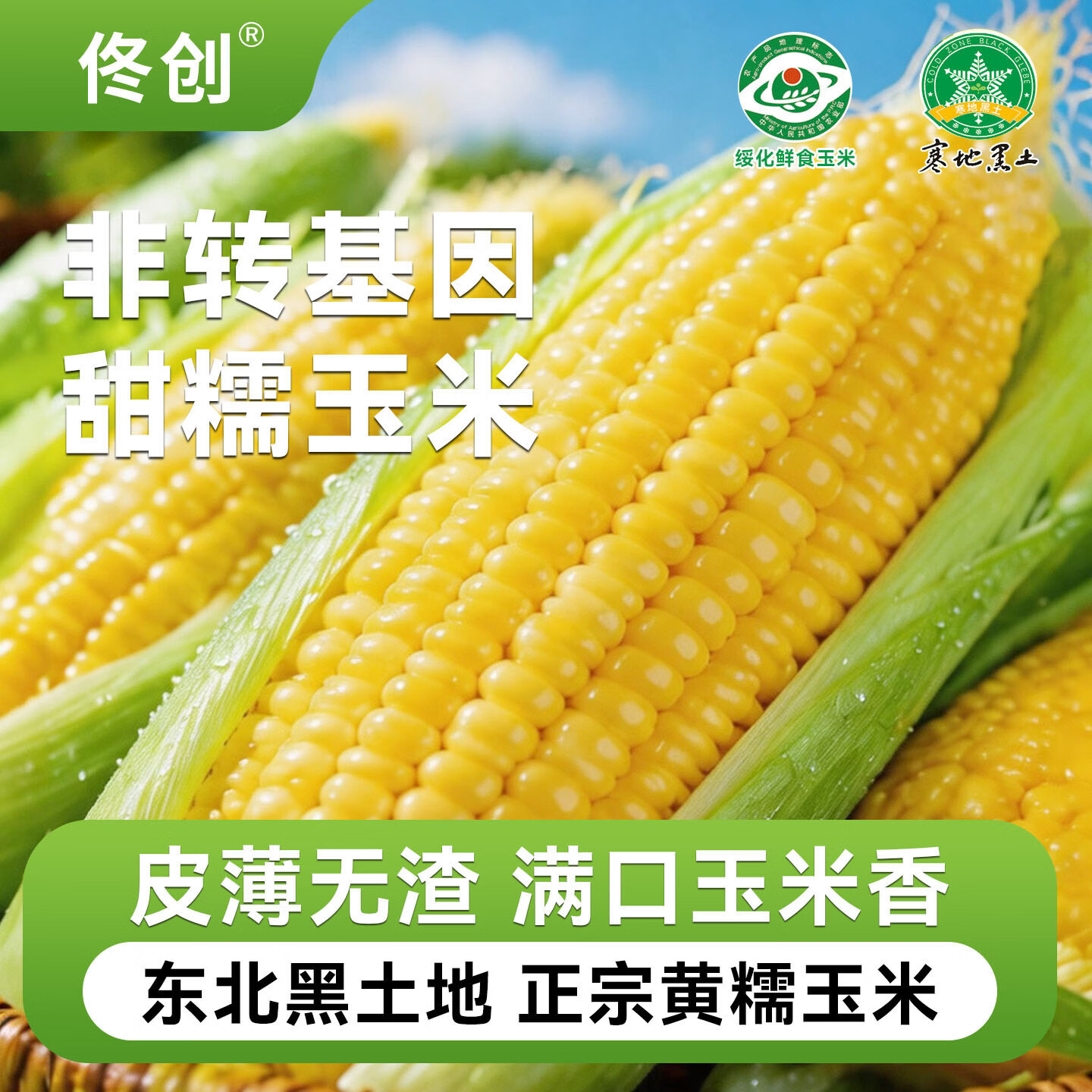 佟小满新鲜东北黄糯玉米棒甜苞米轻食代餐真空包装农科院推荐根茎类粗粮 整根黄糯玉米10棒 单根150-180g