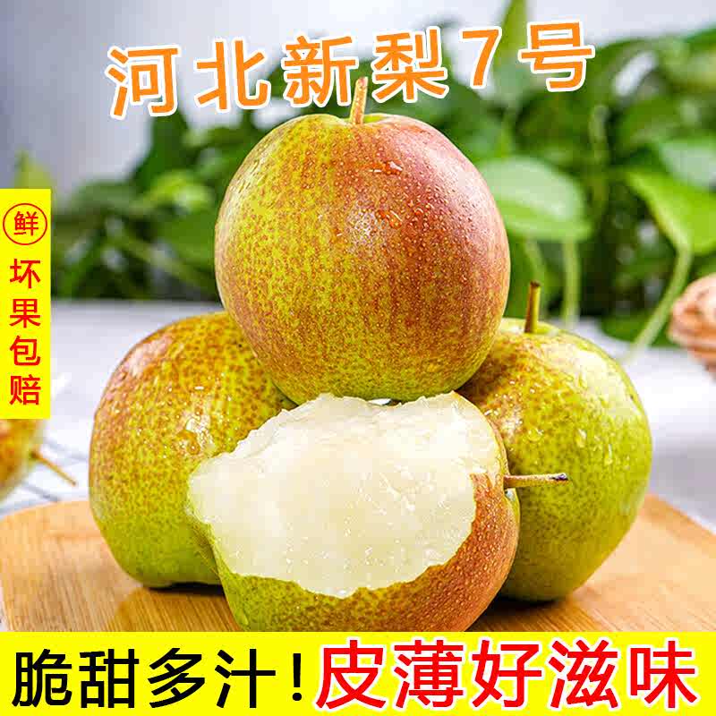 鲜友季河北香梨7号新鲜当季水果孕妇脆甜梨子产地红香酥梨青雪酥梨整箱 净重4.5-5斤（单果100g+）