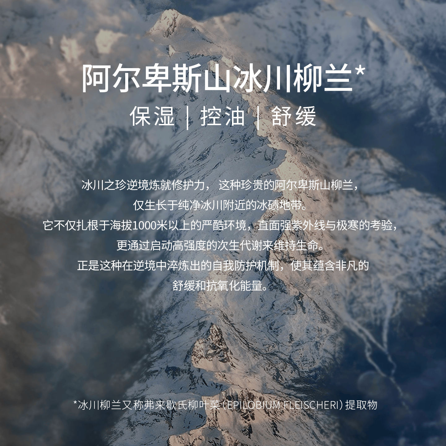 ZOOVANA祖瓦纳空林秋雨沐浴洗发二合一全能小绿瓶保湿控油舒缓强韧修护 沐浴洗发2合1-空林秋雨285ml*2支