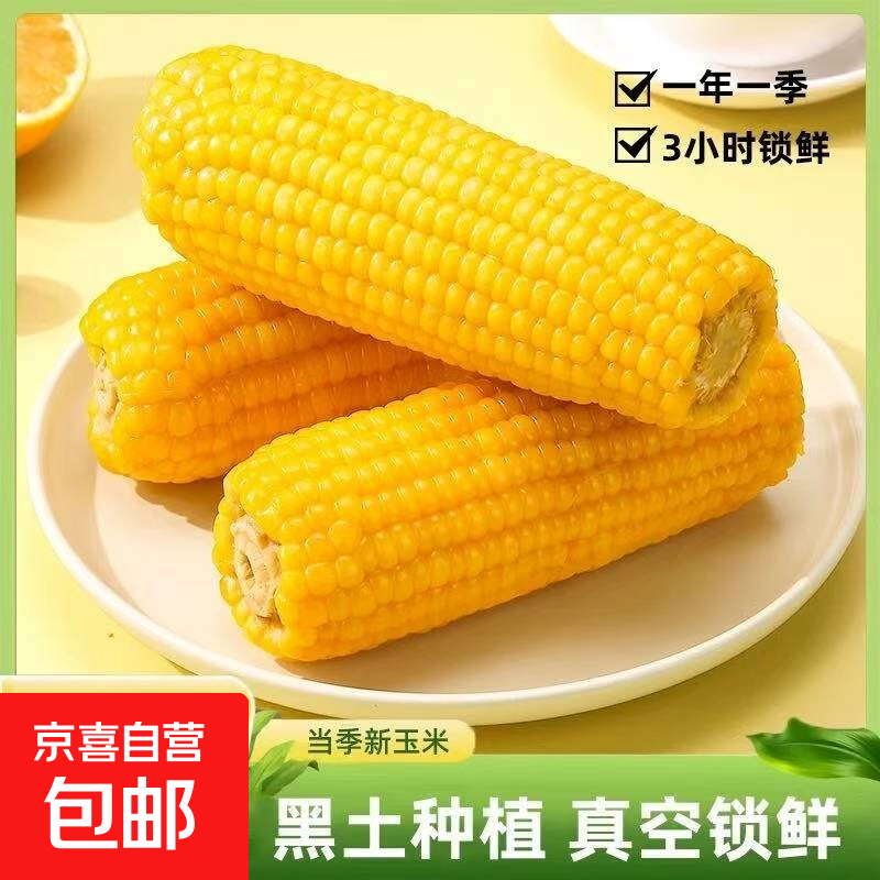 正宗东北真空黄糯玉米黏玉米大棒水果玉米轻食沙拉早餐加热即食 真空黄糯玉米12根*220g 净重