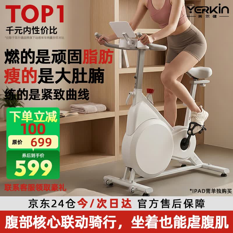 英尔健家用动感单车智能磁控静音运动减肥健身器材室内脚踏车健身单车 [标准款]物理阻力/AI体感/竞赛游戏/13斤全包飞轮组