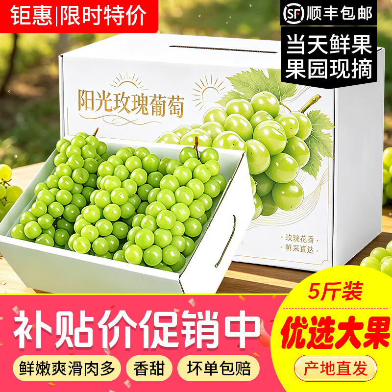 天乐优选【顺丰快递】四川阳光玫瑰葡萄新鲜晴王礼盒香印葡萄应季水果 带箱5斤装【单果8-10g】净重4-5斤