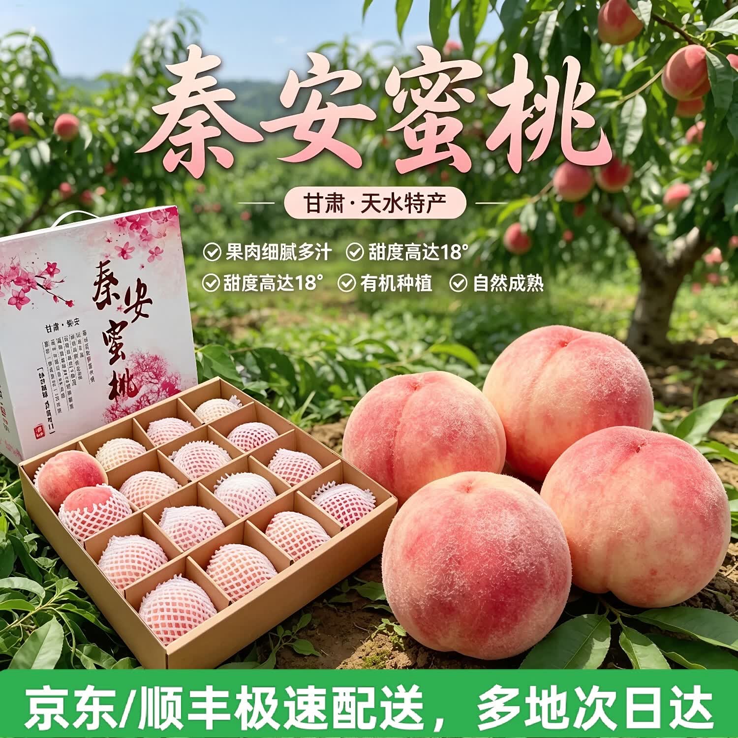 甘肃天水秦安水蜜桃水果新鲜桃子礼盒当季新鲜包邮多地次日达 10颗实惠中果尝鲜单果3-4两（果小慎拍）