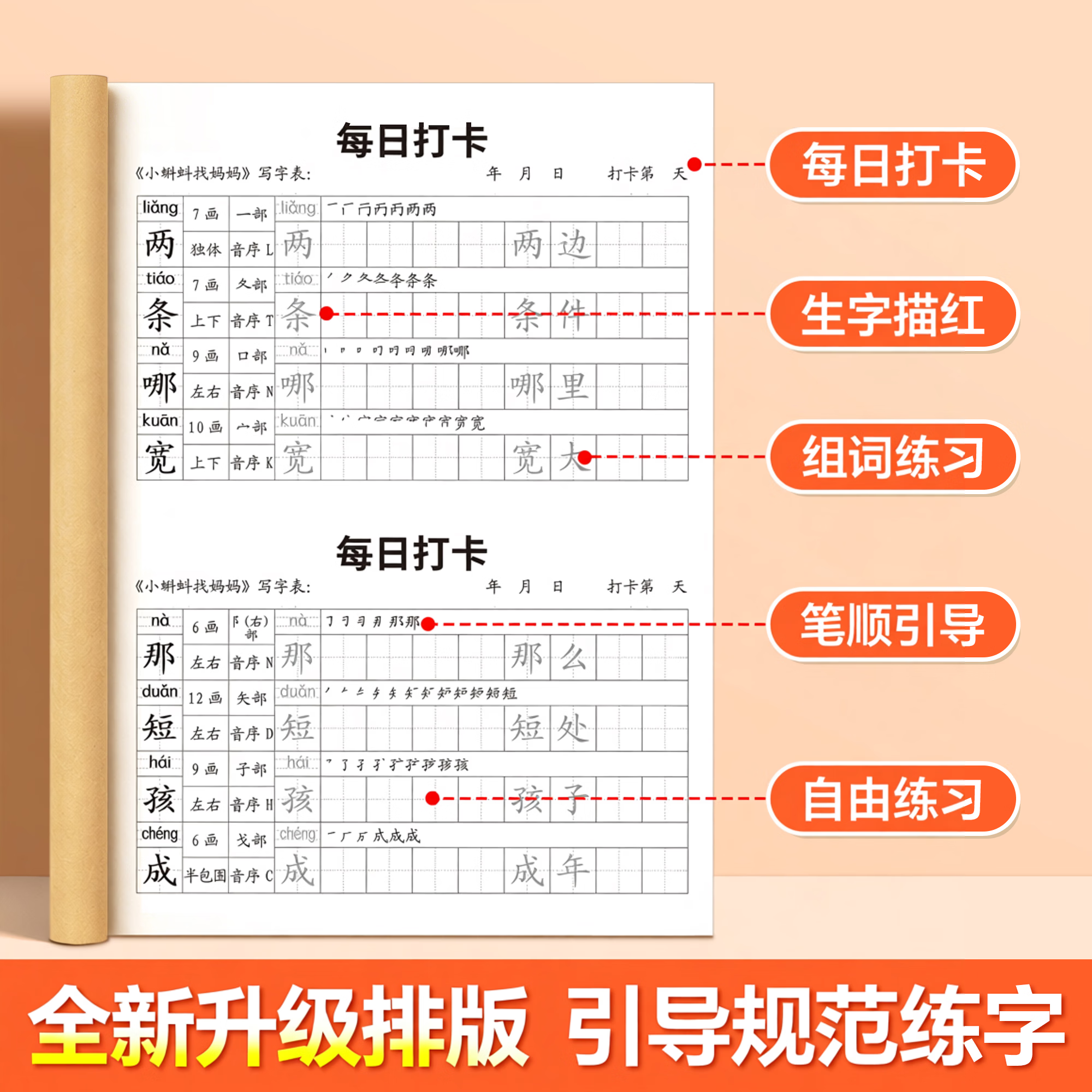 金枝叶二年级上下册练字帖人教版语文同步生字字帖每日一练小学生专用打卡练字本识写字表笔画笔顺描红本 【二年级上册】同步字帖