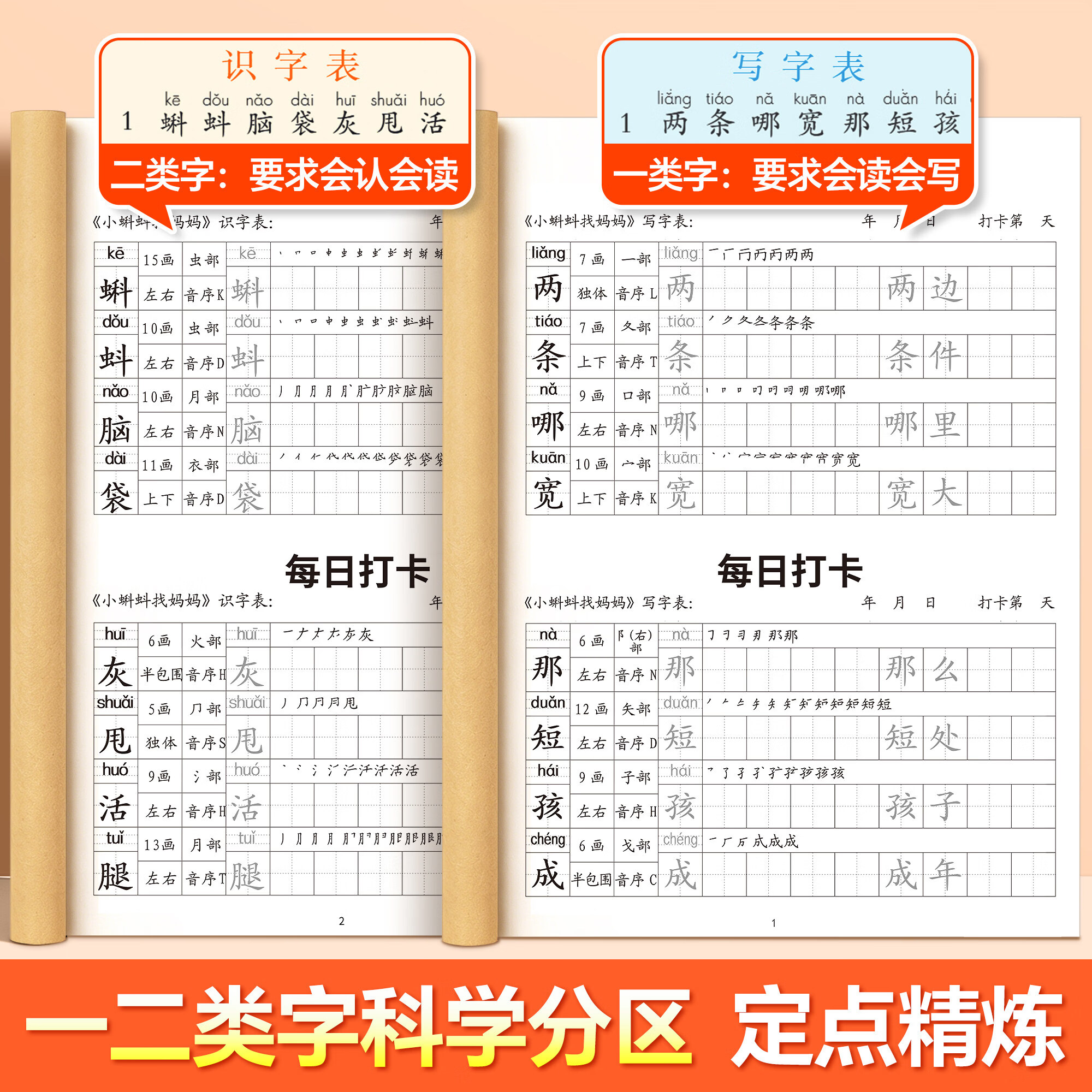 金枝叶二年级上下册练字帖人教版语文同步生字字帖每日一练小学生专用打卡练字本识写字表笔画笔顺描红本 【二年级上册】同步字帖