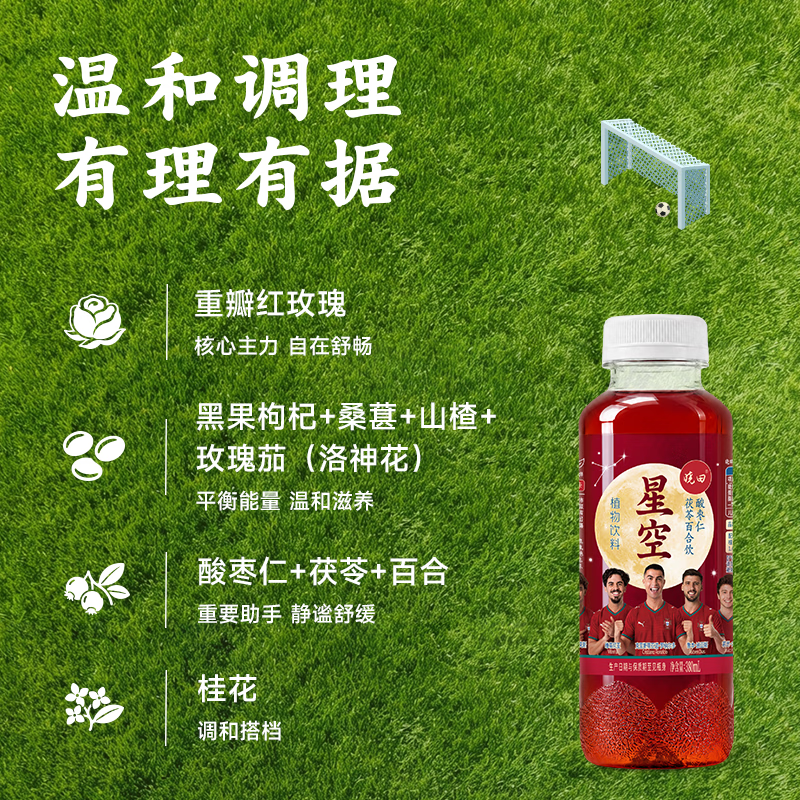 晓田星空酸枣仁茯苓百合饮0糖0脂0卡植物饮料整箱380ml*15瓶 380ml*15瓶