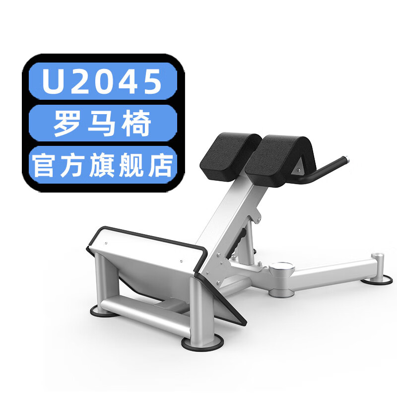 dhzfitnessu2045罗马椅大胡子运动健身器材厂家直销商用大全力量站