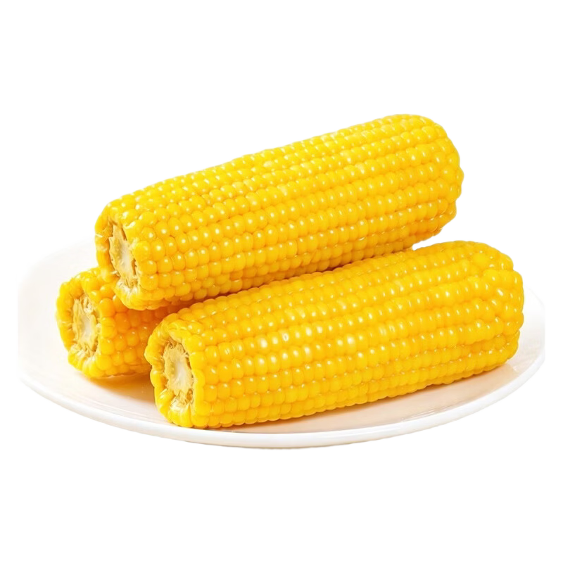 【东东买菜】东北真空黄糯玉米大棒糯玉米加热即食早餐辅食必备 真空黄糯玉米10根*220g 净重