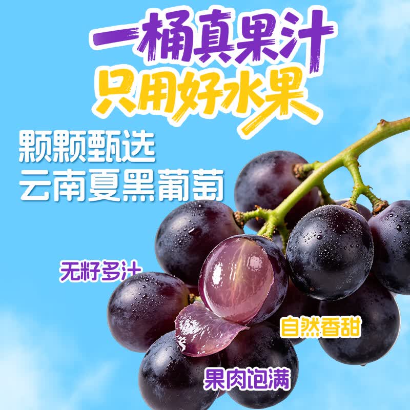 轻上（LIGHT UPPER）葡萄汁果汁夏黑葡萄复合饮料酸甜解腻饮料饮品果蔬汁整箱饮料 轻上水果桶葡萄汁220ml*10瓶