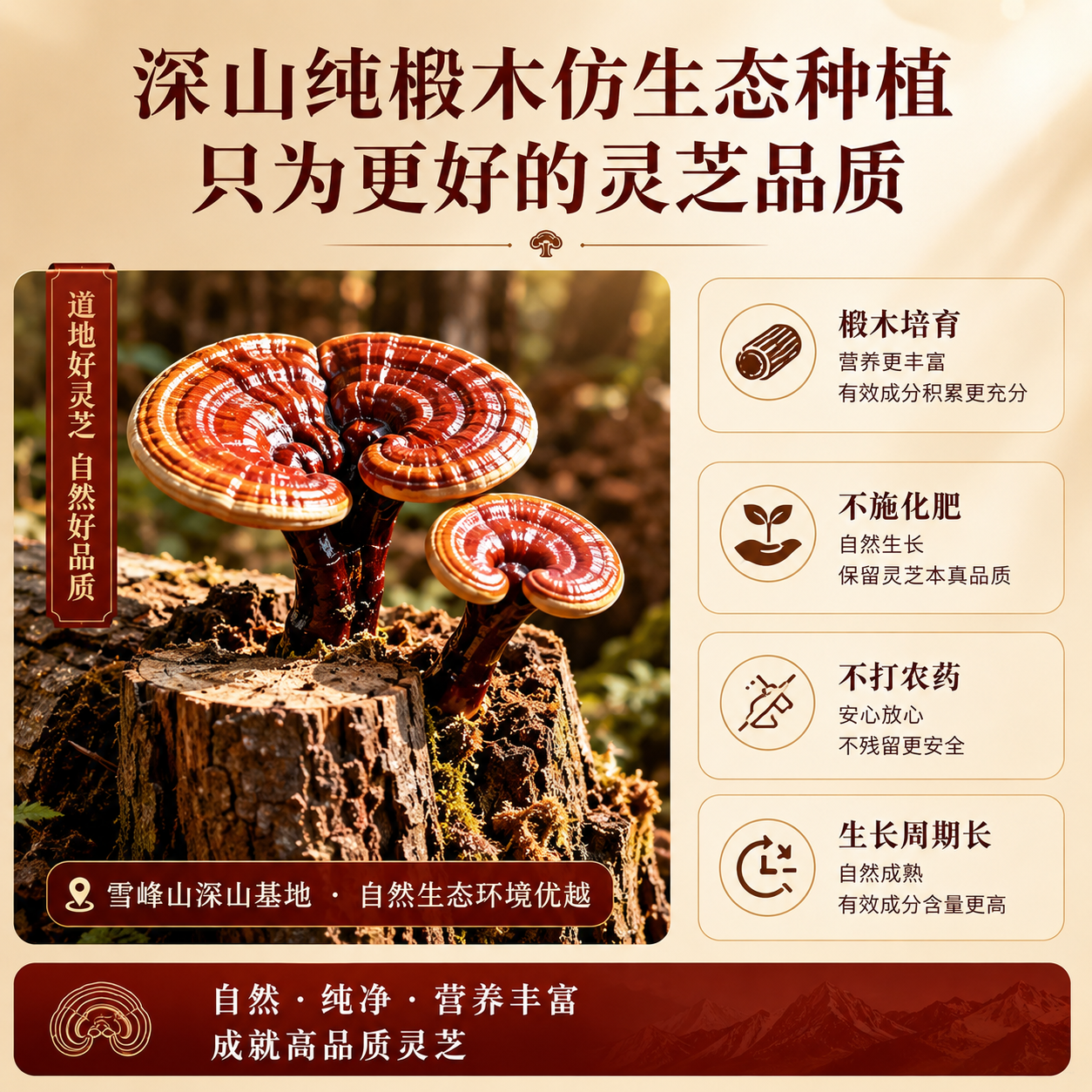 珍仙林破壁灵芝孢子粉孢子油胶囊增强免疫力 灵芝孢子油胶囊【推荐装】 60粒*2盒