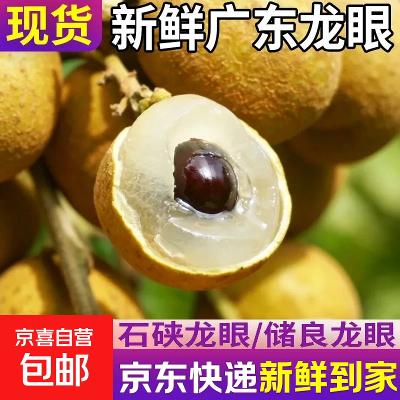 正宗广东石硖储良龙眼当季生鲜新鲜水果桂圆冷链直达新鲜到家包邮 【石硖龙眼】果园现摘现发 【个人独享】3斤带箱（净重2.5斤）