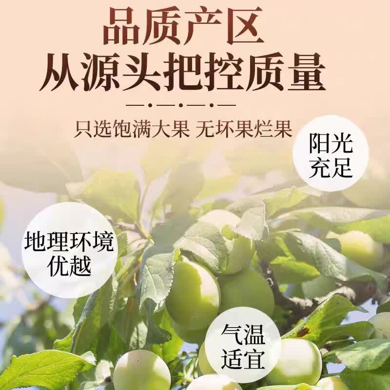 同仁堂(TRT)精选新疆大乌梅干酸甜开胃生津止渴饭后解腻酸梅汤原料泡水养生茶 正宗新疆乌梅干 250g*4罐