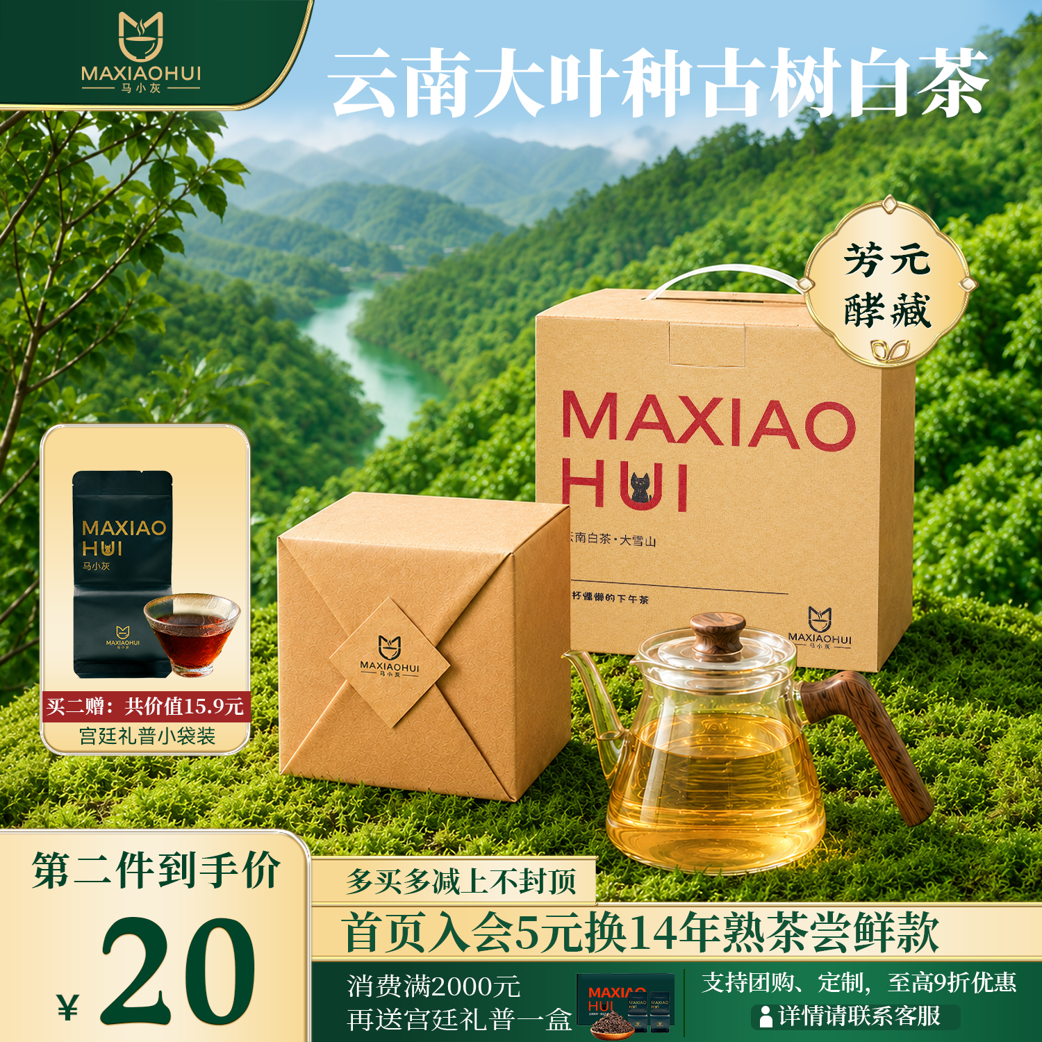 马小灰白茶云南大雪山新茶明前特嫩芽级绿茶叶福老鼎白茶正品礼盒装 【尝鲜生普】小灰一号