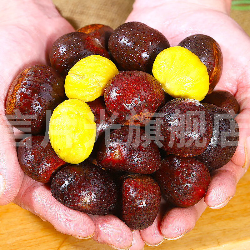 言片光2026年云南新鲜板栗老树生板栗新鲜油栗子新鲜应季蔬菜 净重 3斤 新板栗 I 精选大果