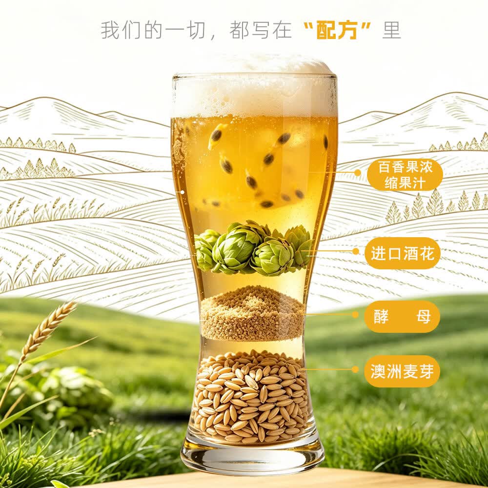 央小啤10P 百香果小麦精酿果味啤酒 锶型水28天慢发酵进口麦芽整箱礼盒 500ml 12瓶 礼盒装
