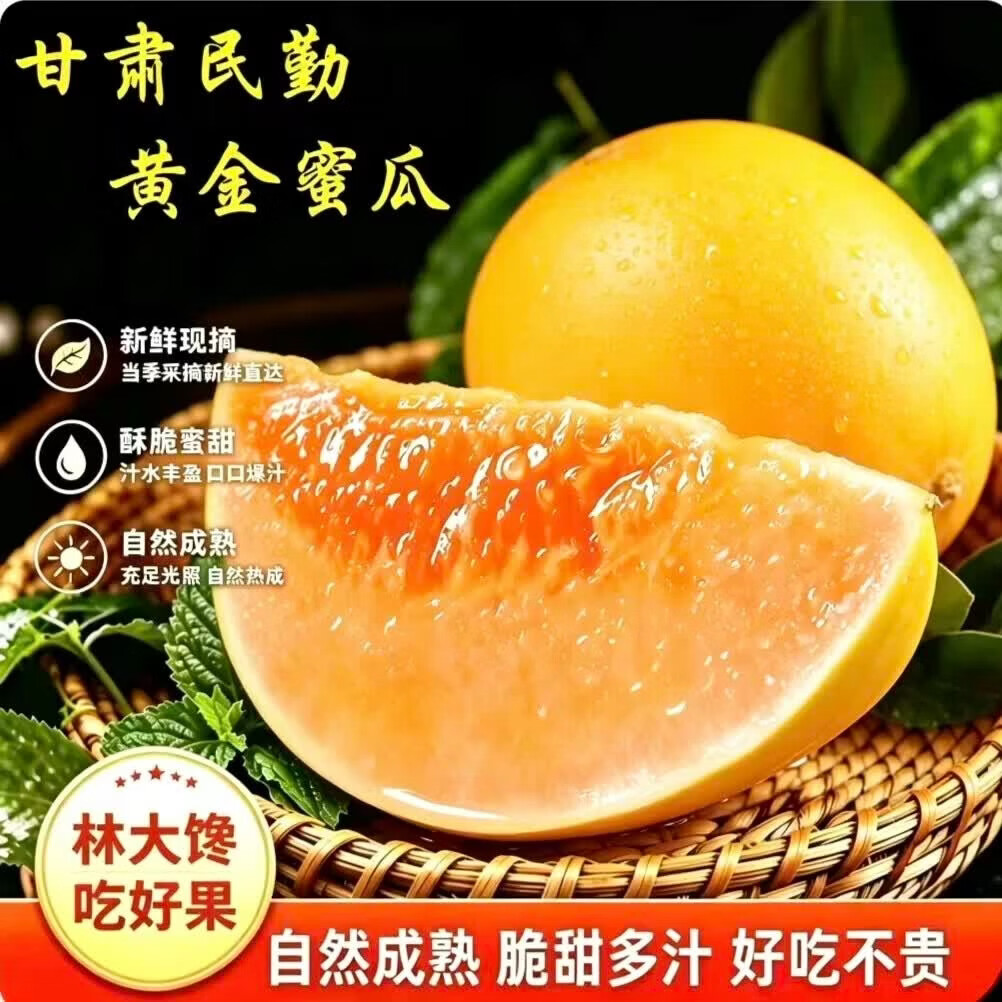 林大馋正宗甘肃民勤蜜瓜黄河黄金蜜瓜沙漠黄皮甜瓜香瓜饱满多汁新鲜水果 饱满匀称【民勤蜜瓜净4.5-5斤】(2颗)