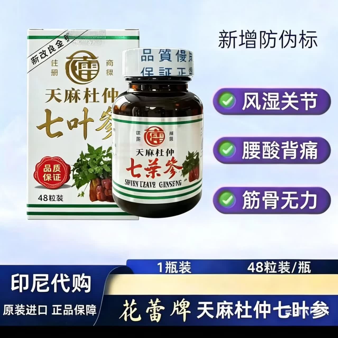 HUALEI花蕾印l尼进口天麻杜仲七叶参舒筋活络强骨中老年风湿关节痛腰腿疼痛 花蕾牌七叶参玻璃瓶 48粒*3瓶 天麻杜仲