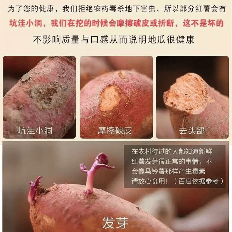 沁园秋陕西板栗红薯沙地新鲜自然熟地瓜番薯生鲜蔬菜 带箱8.5斤中果（净重8斤+）