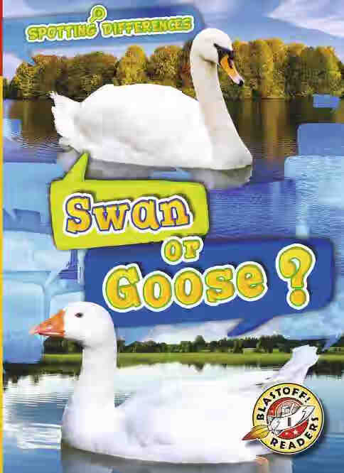 预售 按需印刷swan or goose?