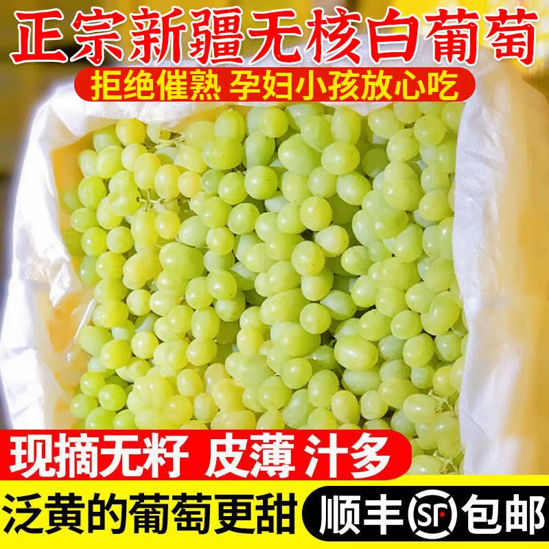 寻疆乐果新疆吐鲁番无核白葡萄精品脆甜多汁新鲜水果马奶提无籽青提 带箱5斤【净重4.5斤】顺丰直达