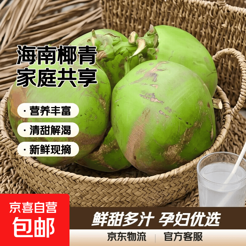海南文昌带皮椰青生鲜椰汁应季孕妇水果椰子水椰肉单果净重3斤起 【4个装】海南带皮椰青（家庭装）