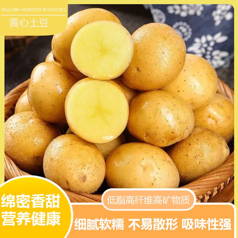 莎凰河南新鲜土豆马铃薯黄皮土豆农家自种土豆洋芋产地直发 净重5斤【中小果3两以下】 京东折扣/优惠券