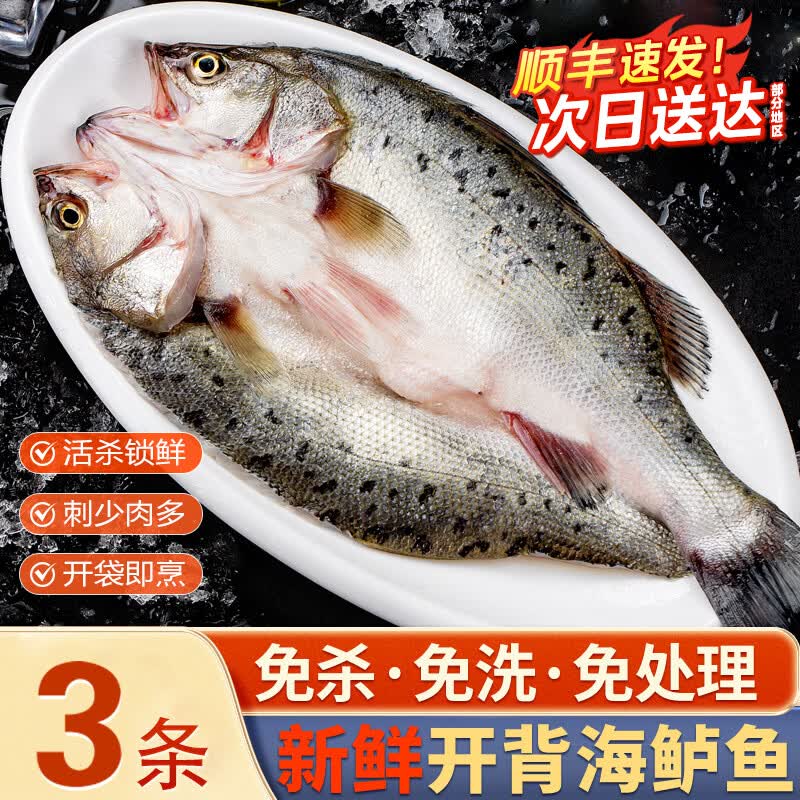 百鲜洽深海七星海鲈鱼开背三去整鱼速冻锁鲜真空包装免处理清蒸烤鱼食材 海鲈鱼400g-500g条*3条【三去开背免处理】