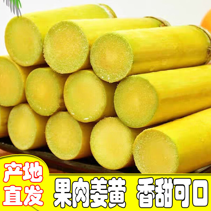 广西黄金水果甘蔗现现发特产榨汁黄金甘蔗广西水果 9斤 净重箱装精选中段带刀