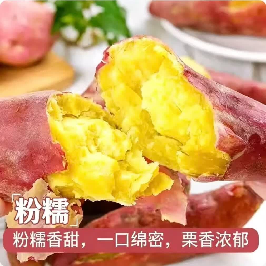林大馋陕西正宗新鲜板栗红薯蜜薯 现挖粉糯番薯地瓜 粉面薄皮香甜糯蔬菜 5斤精选中果【净4.7斤起】单果125g起 粉糯香甜秦薯5号 秦岭产地直发-普通人没吃过的品种