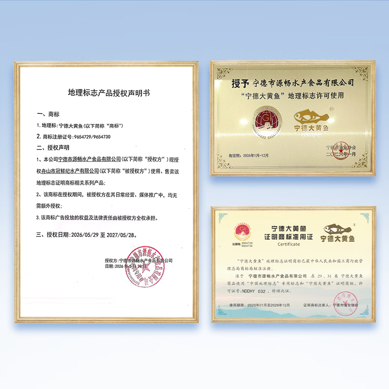 森鲜状元宁德地标海捕大黄鱼整条鲜冻黄花鱼新鲜深海鱼冷冻生鲜速冻水产鱼 4条装(共2斤~2.4斤)宁德黄鱼