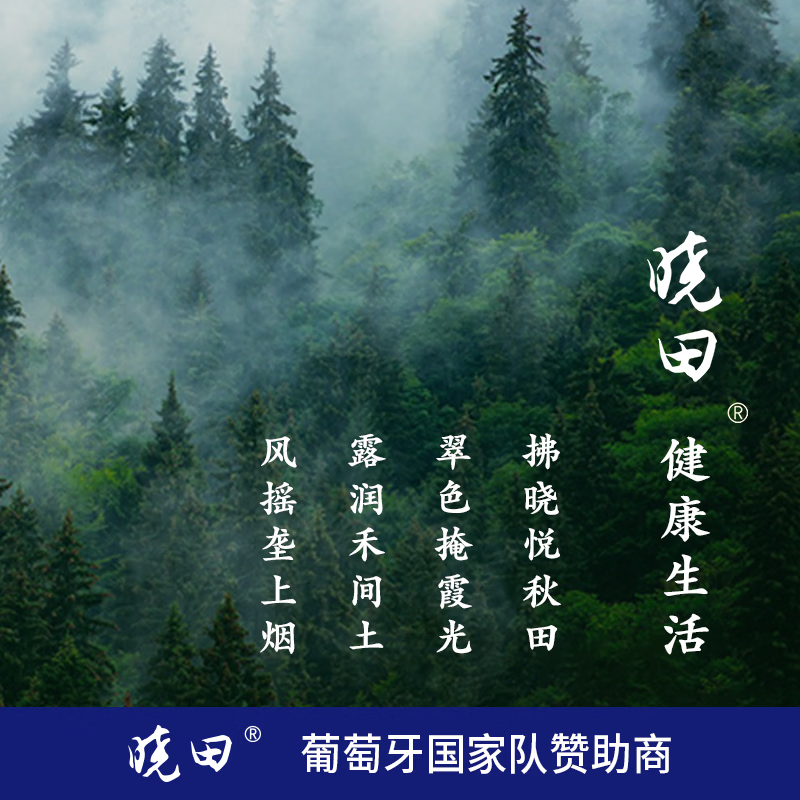 晓田星空酸枣仁茯苓百合饮0糖0脂0卡植物饮料整箱380ml*15瓶 380ml*15瓶