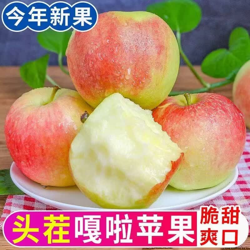 龙多鲜苹果嘎啦苹果 山西丑苹果 新鲜富士小苹果应季水果 节日送礼推荐  整箱5斤精选好果约110-200g净4.5斤