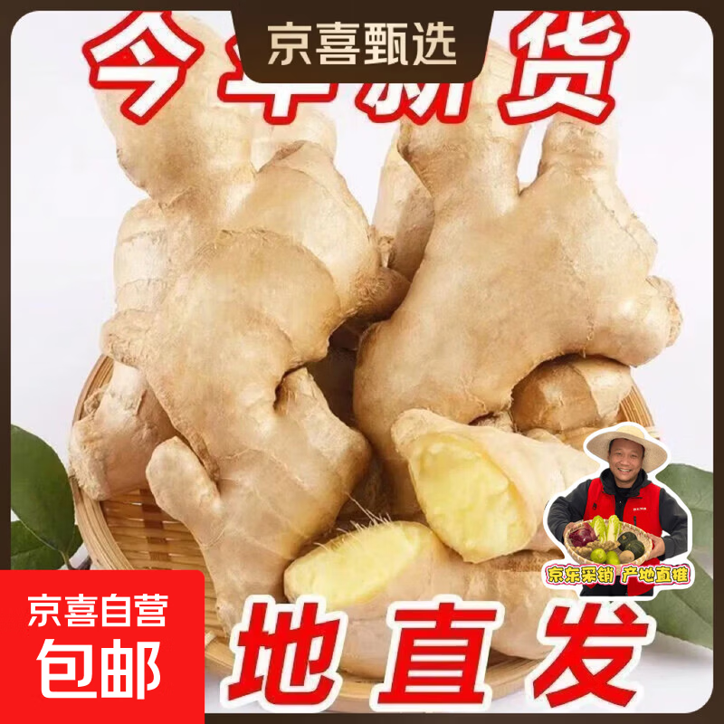 【东东农场专供】风干无泥姜正宗生姜大姜水洗黄姜新鲜月子 山东大姜250g净重250g