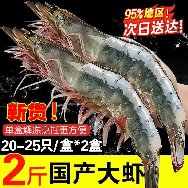 百鲜洽国产大虾鲜活速冻特大号基围虾白虾海鲜水产宵夜烧烤火锅食材 【冰冻大虾特大号】20-25只/盒 500g(净重)  *2盒