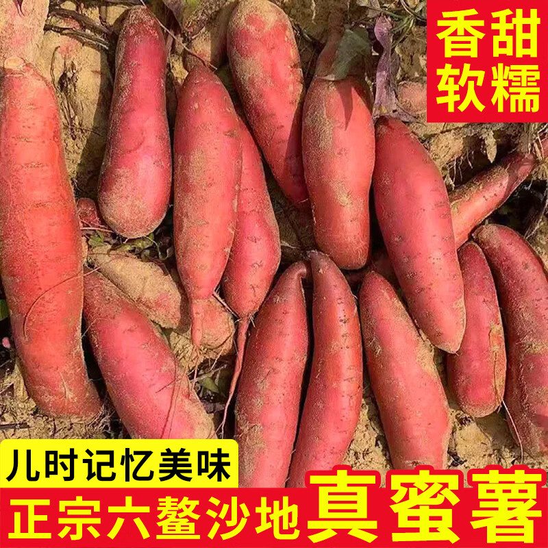 正宗漳州六鳌蜜薯沙地红薯新鲜现挖糖心地瓜番薯源头直发 5斤【蒸煮烤都好吃】软糯细腻 正宗出口级品质 京东折扣/优惠券