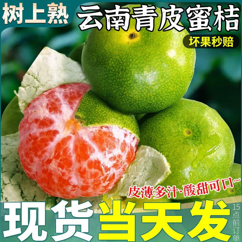 云南青皮橘子【产地直发】橘子蜜橘当季桔子新鲜水果现摘现发 5斤精选果【单果50-55mm】净重4.5斤