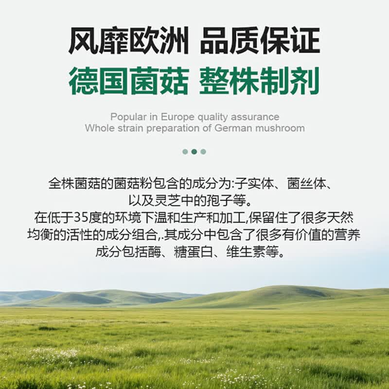 MycoVital玫克微朵德国进口灵芝巴西菇菌菇粉胶囊339疗后提白术后恢复补品 灵芝巴西菇 90粒*1瓶 德国进口 90粒/瓶