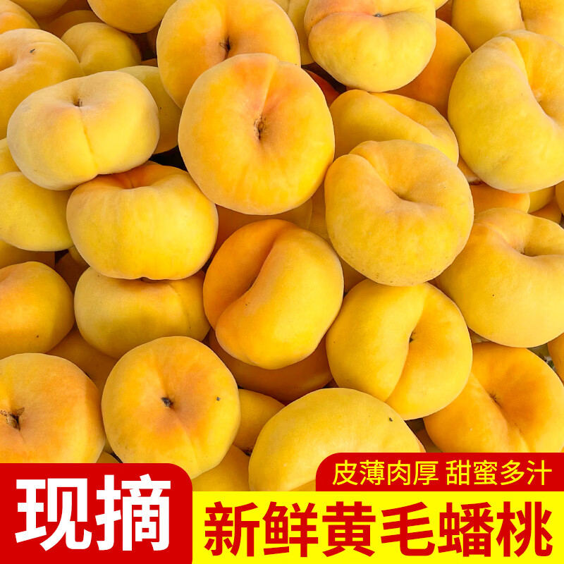 升阳农场蒙阴彩虹蟠桃应季桃子源头直发 黄毛蟠桃 净重4.5斤，单果125g+