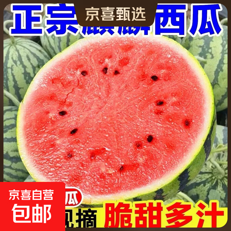 正宗麒麟美都新鲜西瓜现摘现发产地应季水果批发薄皮超甜西瓜 带箱5-6斤新鲜现摘