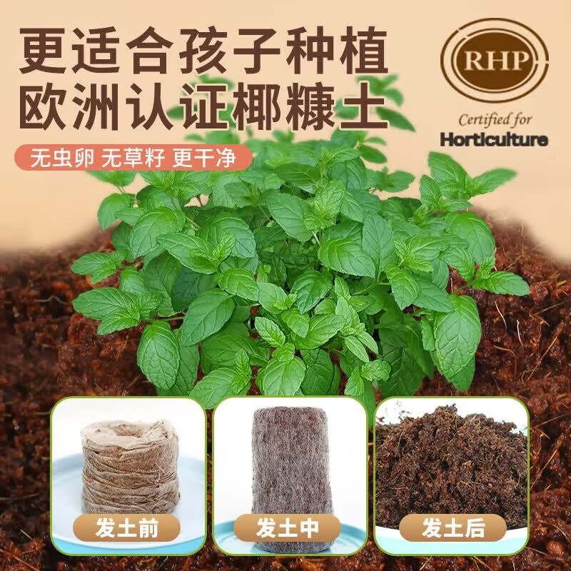 IAM City Farmer番茄罐头盆栽儿童种植小盆栽幼儿园植物绿植科学试验观察种植作业 【和气生财】生菜种植罐头 套装
